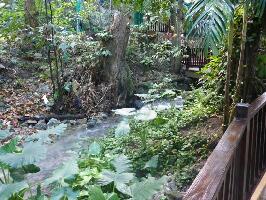 Rainforest Adventures Jamaica