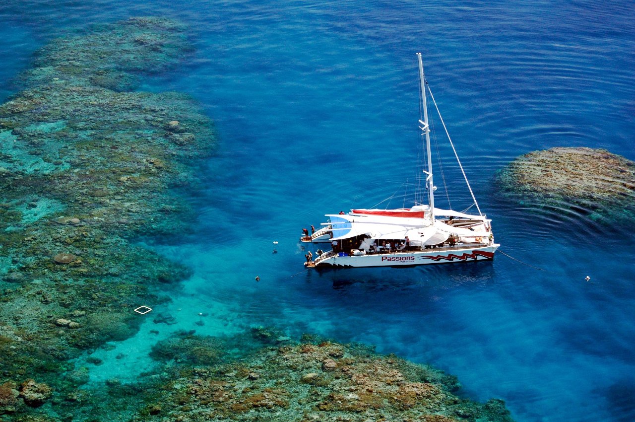 Passions of Paradise Reef Tour