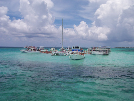 Stingray City