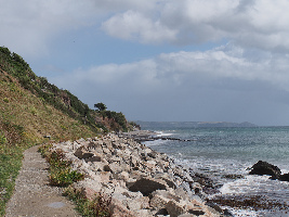 The Monkey Sanctuary