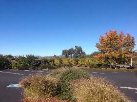 California United States Winery Tour