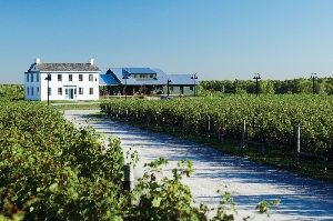 Ontario Canada Winery