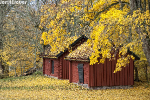Gamla Uppsala