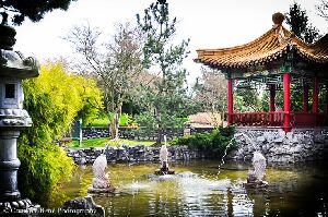 International Buddhist Society (Buddhist Temple)