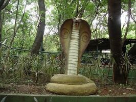Pune India Zoo