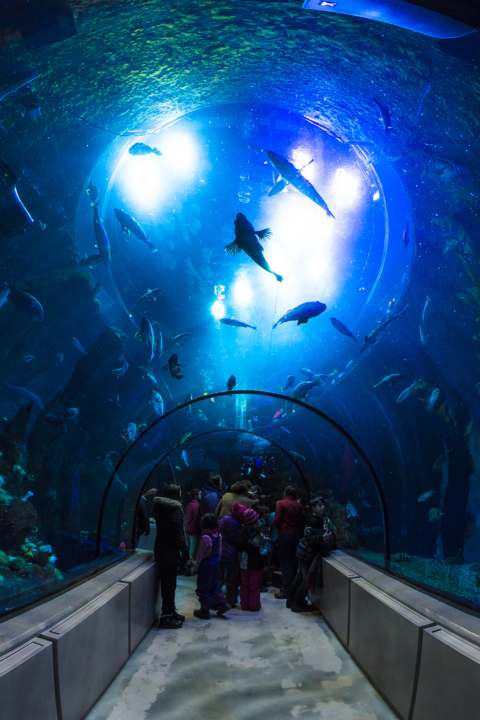 Aquarium du Quebec