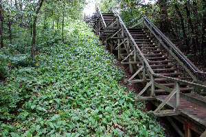 The Cap-Blanc Stairway