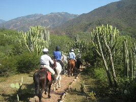 Horseback Mexico