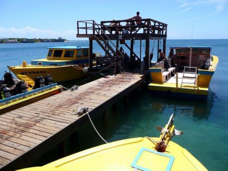 Utila Dive Center
