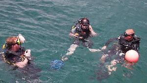 Mermaids Dive Center Pattaya