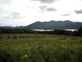 Killarney Ireland Park