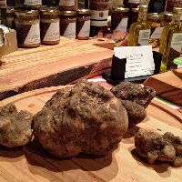 Siena Tartufi (truffle hunting)