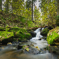 Tyresta Nationalpark
