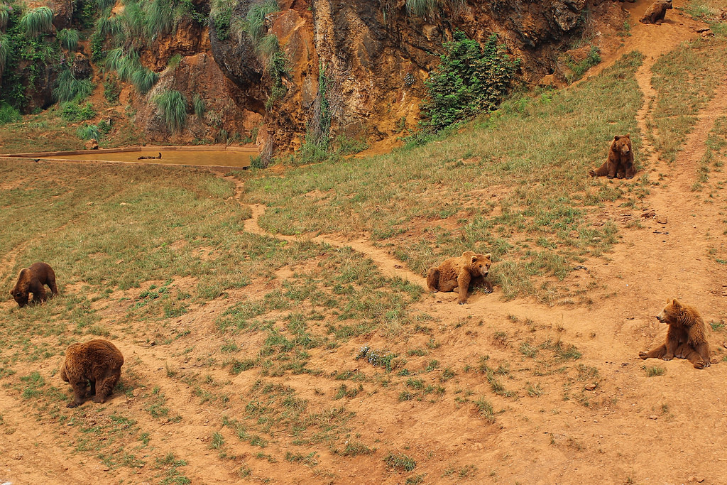 Parque de la Naturaleza de Cabarceno