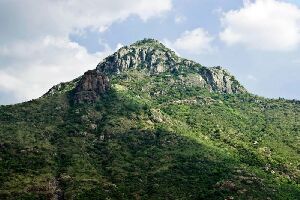 Tiruvannamalai India Mountain