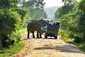 Tissamaharama Sri Lanka National Park