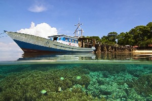 Bunaken Island Indonesia Park