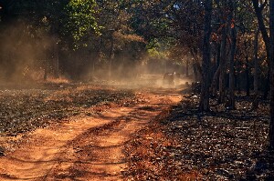 Maharashtra India Park
