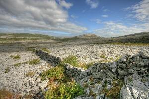 The Burren National Park