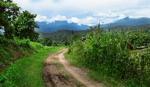 Huai Kaew Road Thailand National park