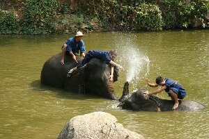 Chiang  Mai Thailand Tour