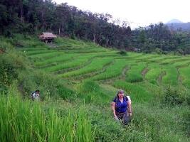 Chiang  Mai Thailand Hiking