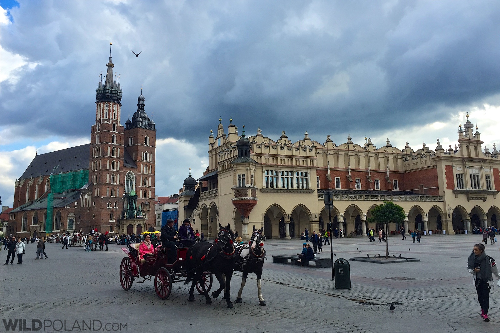 Wild Poland Tours - Day Tours