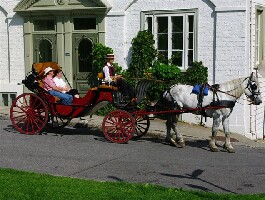 Caleches du Vieux-Quebec