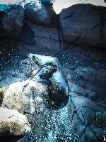 Underwater World Sea Life Mooloolaba