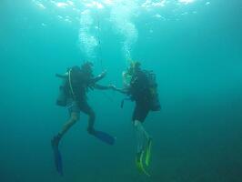 Dominical Costa Rica Dive