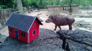 Lille France Zoo