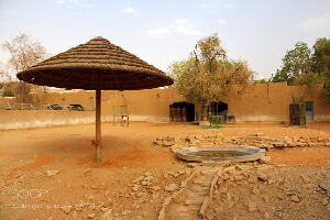 Riyadh Saudi Arabia Zoo