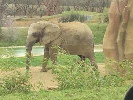 Plaisance-du-Touch France Zoo