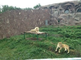 Almaty Kazakhstan Zoo