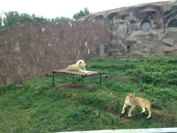 Almaty Zoo