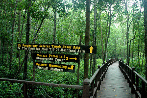 Pontian District Malaysia National Park
