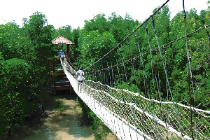 Johor Bahru Malaysia National Park