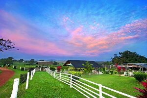 UK Farm
