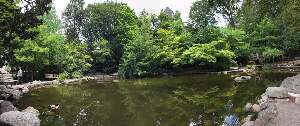 Lithia Park