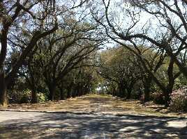 Charles Towne Landing State Historic Site