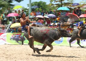 Ban Suan Thailand Festival