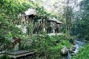 Ubud Traditional Spa