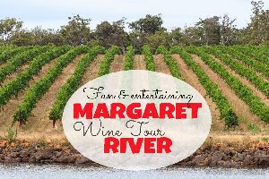 Taste The South Wine Tours