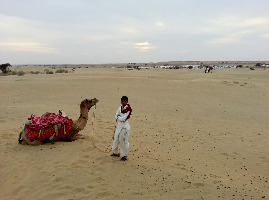 Desert Safari Egypt