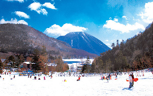 Nikko Japan Ski