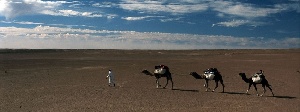 Morocco Safari Tours