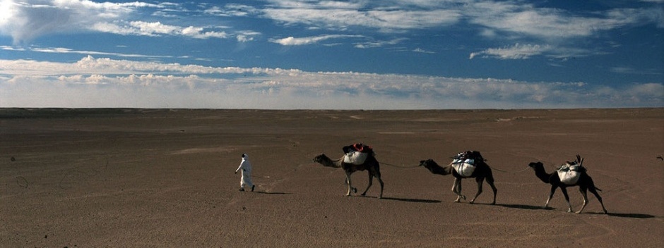 Morocco Safari Tours