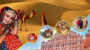 Rajasthan Tour Planner