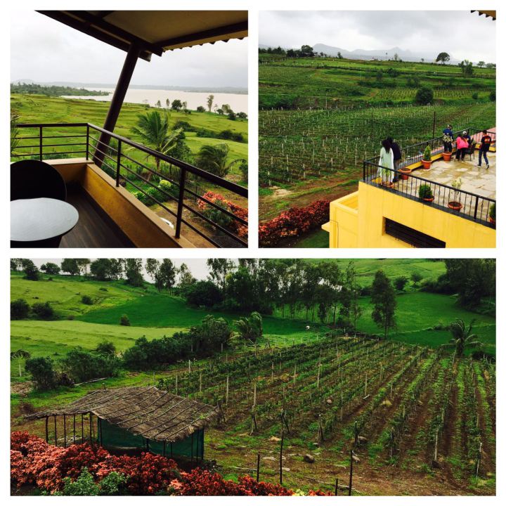 Vallonne Vineyards