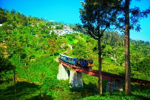 Ooty  (Udhagamandalam) India Mountain
